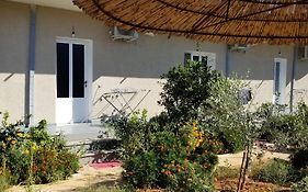 Rey Garden 2