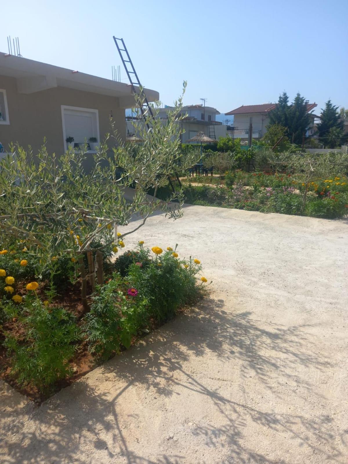 Hotel Rey Garden 2 à Vlorë Extérieur photo